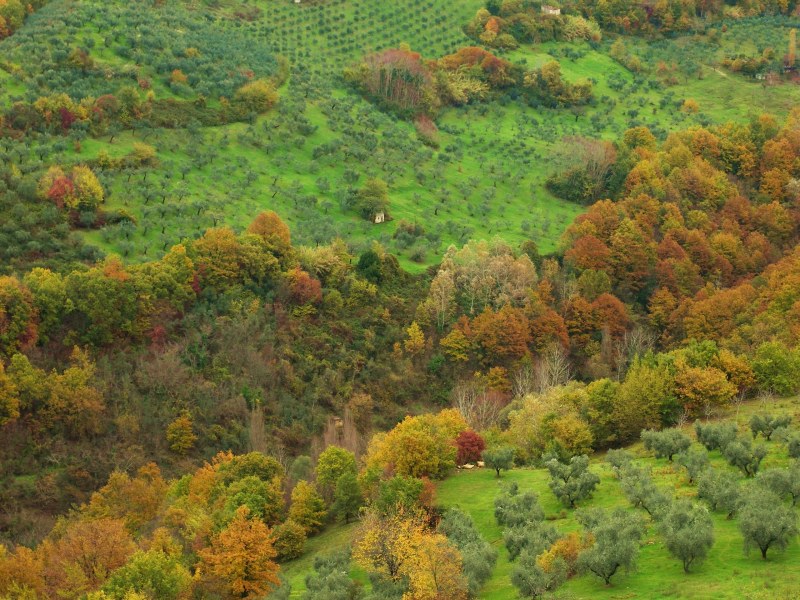 Sabina sublime-Dettagli d''autunno